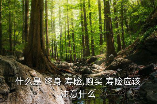 怎么買(mǎi)終身壽險(xiǎn),想買(mǎi)壽險(xiǎn)年輕人最適合買(mǎi)長(zhǎng)壽險(xiǎn)