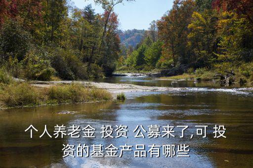 個(gè)人養(yǎng)老金 投資 公募來(lái)了,可 投資的基金產(chǎn)品有哪些