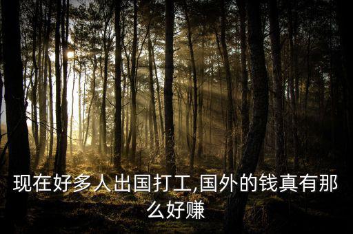 現(xiàn)在好多人出國(guó)打工,國(guó)外的錢(qián)真有那么好賺