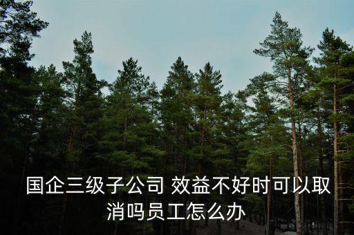  國企三級子公司 效益不好時(shí)可以取消嗎員工怎么辦