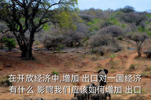 在開放經(jīng)濟(jì)中,增加 出口對(duì)一國經(jīng)濟(jì)有什么 影響我們應(yīng)該如何增加 出口