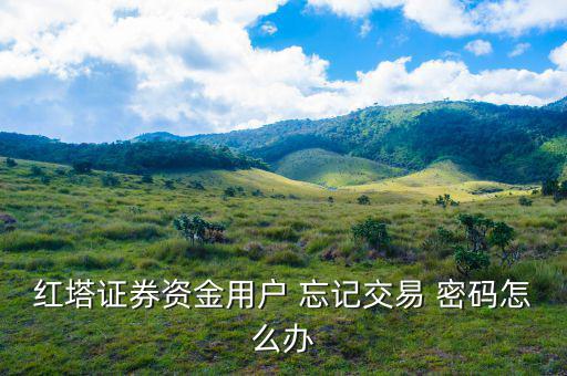 紅塔證券資金用戶(hù) 忘記交易 密碼怎么辦