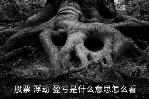 股票浮動(dòng)盈虧怎么計(jì)算,股票浮動(dòng)盈虧=(每日結(jié)算價(jià)-開(kāi)盤(pán)價(jià))