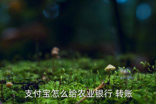  支付寶怎么給農(nóng)業(yè)銀行 轉賬