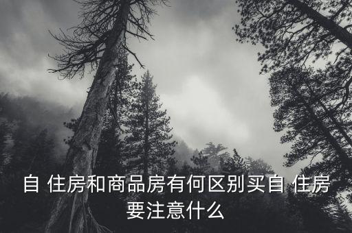 自住房怎么搖號(hào),京字-1搖號(hào)規(guī)則:購房家庭按一定比例抽取