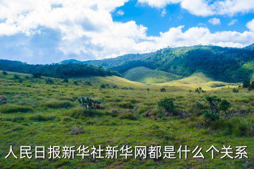 人民日報新華社新華網都是什么個關系