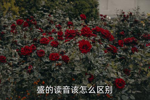 嘉盛中心的盛怎么讀,盛會、豐盛、茂盛、盛大等五個漢字