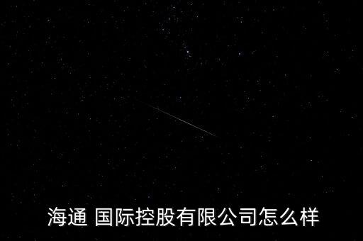  海通 國(guó)際控股有限公司怎么樣