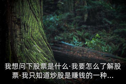 進行個股簡單說明怎么寫,投資股票要學會釣魚，學會吃魚!
