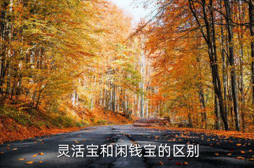 靈活寶1號怎么樣,錢錢寶和余額寶之別