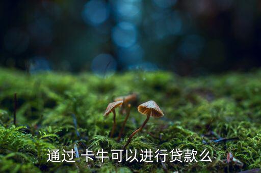 通過(guò) 卡?？梢赃M(jìn)行貸款么