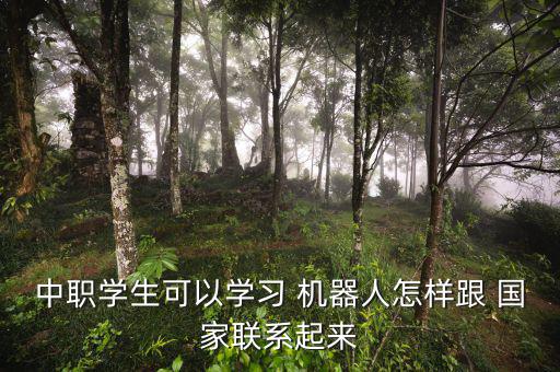 國家怎么看機器人,中職院校機器人應(yīng)用技術(shù)教學具有現(xiàn)實意義