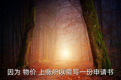 因?yàn)?物價 上漲所以需寫一份申請書