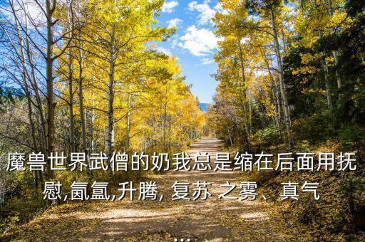 魔獸世界武僧的奶我總是縮在后面用撫慰,氤氳,升騰, 復(fù)蘇 之霧、真氣...