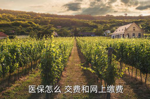  醫(yī)保怎么 交費和網上繳費