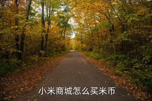  小米商城怎么買(mǎi)米幣