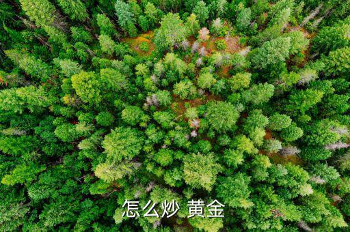 怎么炒現貨黃金收益高,炒現貨黃金有何技巧?