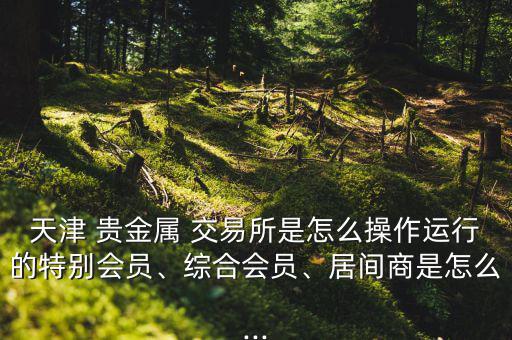 天津 貴金屬 交易所是怎么操作運行的特別會員、綜合會員、居間商是怎么...