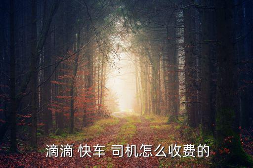  滴滴 快車 司機(jī)怎么收費(fèi)的