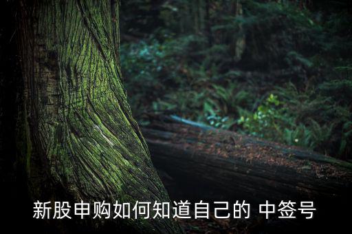 新股申購如何知道自己的 中簽號