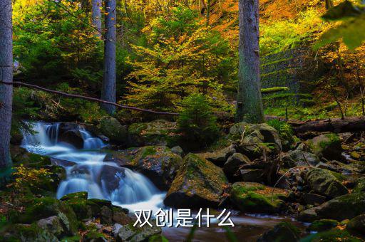 雙創(chuàng)政府該怎么做,雙創(chuàng)"活動(dòng)要對應(yīng)總方針創(chuàng)造新業(yè)績和水平