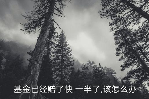  基金已經賠了快 一半了,該怎么辦