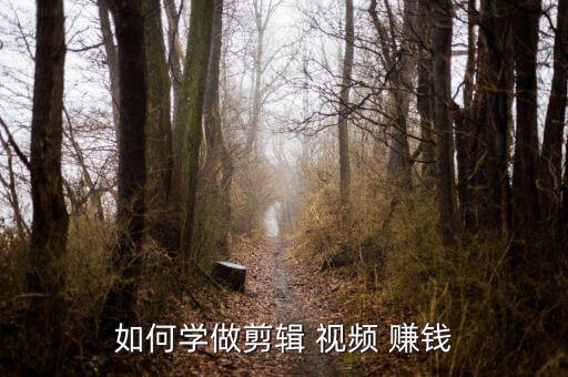 如何學(xué)做剪輯 視頻 賺錢