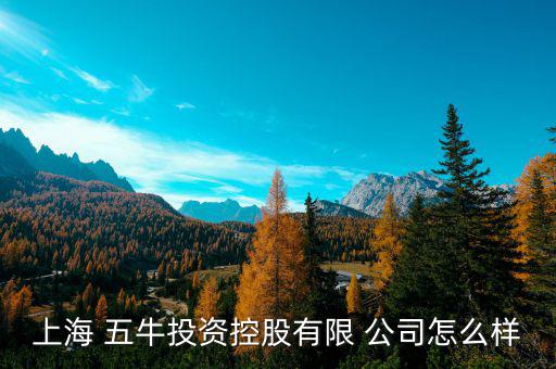 五牛基金公司怎么樣,上海五牛投資控股有限公司處于開(kāi)業(yè)狀態(tài)