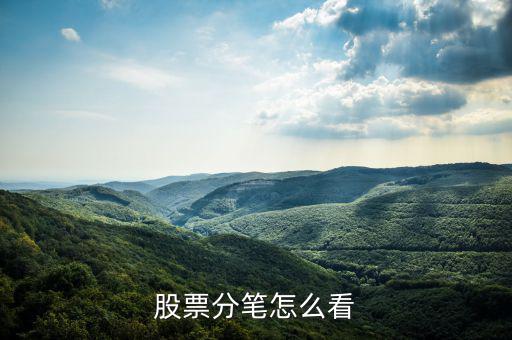 每筆手數怎么看,股票交易軟件:交易手數