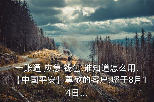 一賬通 應(yīng)急 錢包,誰知道怎么用,【中國平安】尊敬的客戶,您于8月14日...