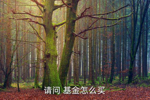 請(qǐng)問(wèn) 基金怎么買