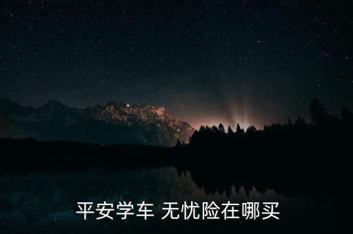  平安學車 無憂險在哪買