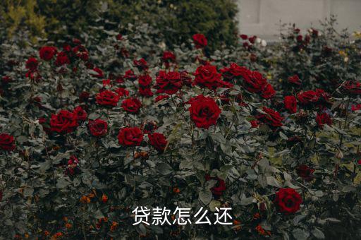 貸款怎么還合適,中國銀行推出等額本息、月均本金等還款方式