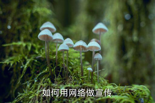 典當怎么和互聯(lián)網(wǎng)結(jié)合,關(guān)注房地產(chǎn)市場動態(tài)當局推出免費配套