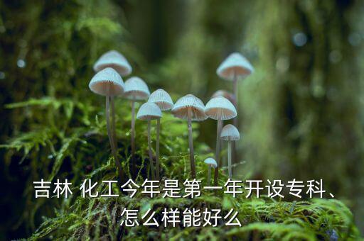 吉林康乃爾化工怎么樣,吉林化工學(xué)院部分專(zhuān)業(yè)近幾年會(huì)升本科