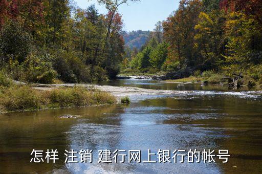 怎樣 注銷(xiāo) 建行網(wǎng)上銀行的帳號(hào)