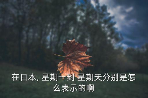 韓國怎么稱星期,新加坡人怎么稱呼日環(huán)星?