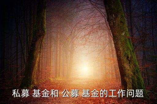 私募 基金和 公募 基金的工作問(wèn)題