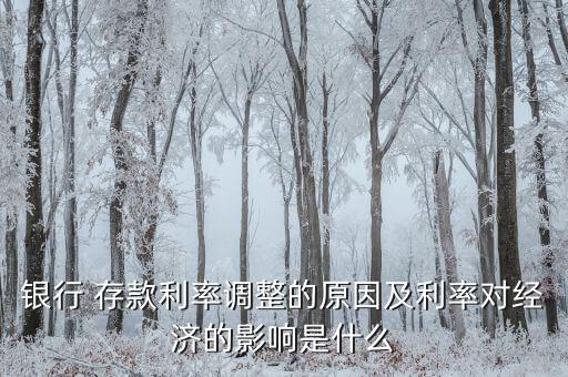 銀行 存款利率調整的原因及利率對經濟的影響是什么