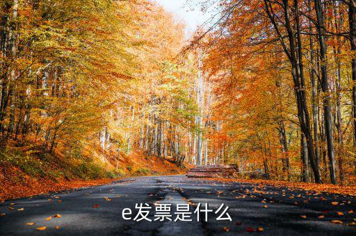 e票寶怎么使用,電子發(fā)票開(kāi)票頁(yè)面出現(xiàn)兩種取票方式