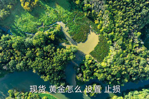 黃金現(xiàn)貨盤(pán)怎么設(shè)置止損價(jià),黃金投資-2止損點(diǎn)的幾個(gè)原則