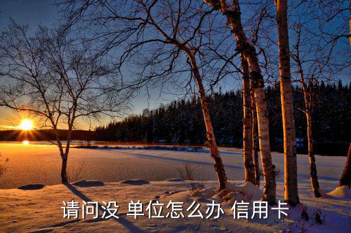 請(qǐng)問(wèn)沒(méi) 單位怎么辦 信用卡