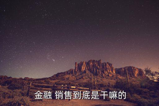 金融銷(xiāo)售怎么掙錢(qián)