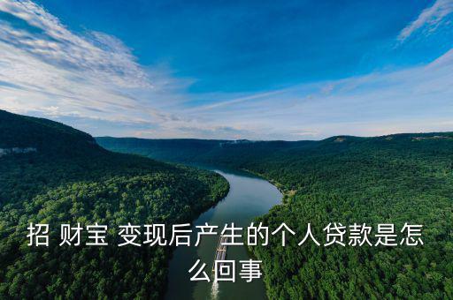 招 財寶 變現(xiàn)后產生的個人貸款是怎么回事