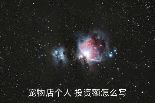 投資規(guī)模怎么寫,寵物店投資建筑規(guī)?？商顚懡ㄖ偨痤~