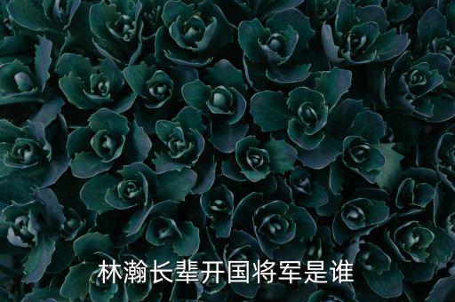 林瀚長(zhǎng)輩開國將軍是誰