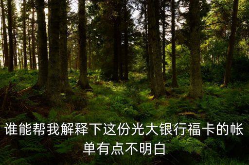 光大的賬單明細(xì)都什么意思，誰能幫我解釋下這份光大銀行福卡的帳單有點(diǎn)不明白