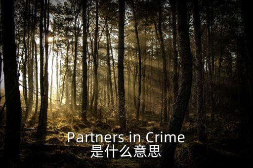 人工角膜是什么，Partners in Crime是什么意思