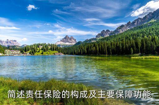 簡述責(zé)任保險(xiǎn)的構(gòu)成及主要保障功能