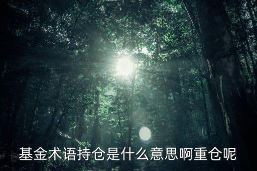 etf持倉(cāng)是什么意思，基金術(shù)語(yǔ)持倉(cāng)是什么意思啊重倉(cāng)呢